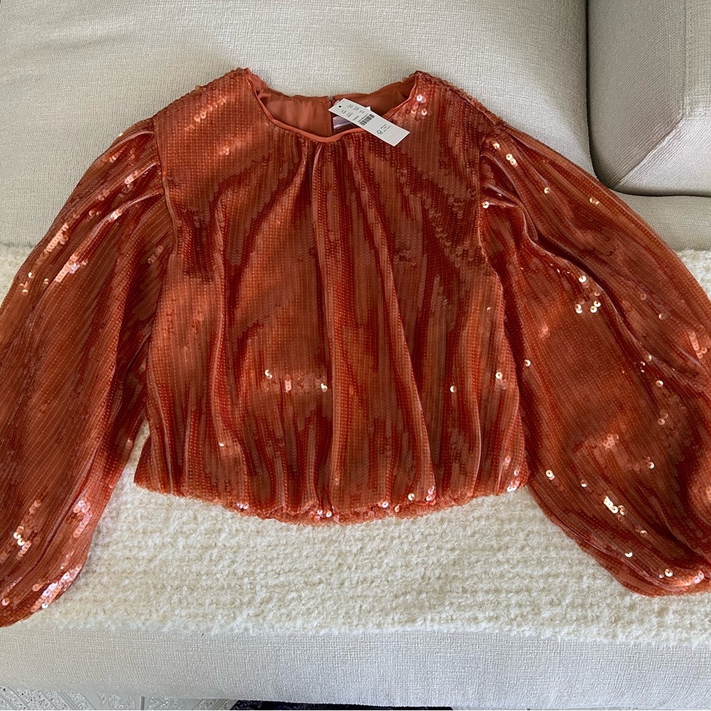Balloon sleeves sequins top.